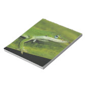 Grüne Anole, Anolis carolinensis, erwachsen auf Pa Notizblock (Rotiert)