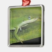 Grüne Anole, Anolis carolinensis, erwachsen auf Pa Ornament Aus Metall (Links)