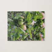 Grüne Äpfel auf Bäumen Puzzle (Horizontal)