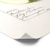 Grüne Äpfel (Malus Domestica) Poster (Ecke)