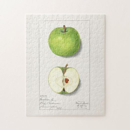 Grüne Äpfel (Malus Domestica) Puzzle (Vertikal)