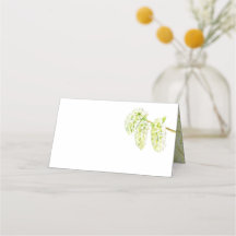 Grüne Aspen Catkins Aquarellname