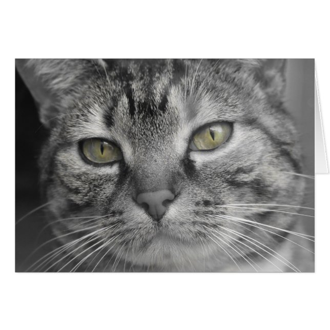 Grüne Augen (Vorderseite (Horizontal))