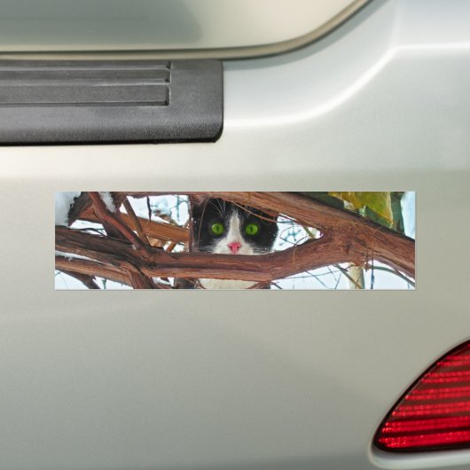 Grüne Augen Autoaufkleber (Auf Auto)