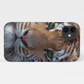 Grüne Augen Bengel Tigers Case-Mate iPhone Hülle (Rückseite (Horizontal))