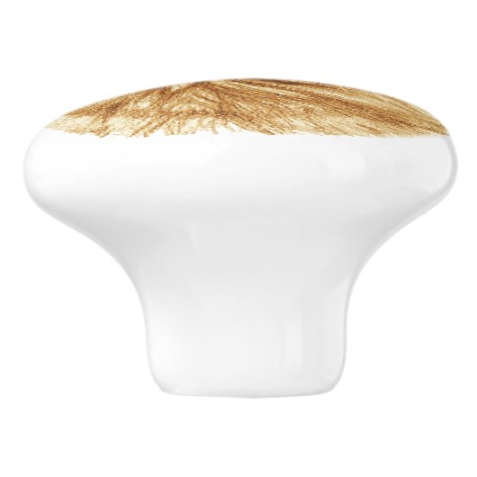 Grüne Augen-Ingwer-Katzen-Fach zieht Griffe (Seitenansicht)