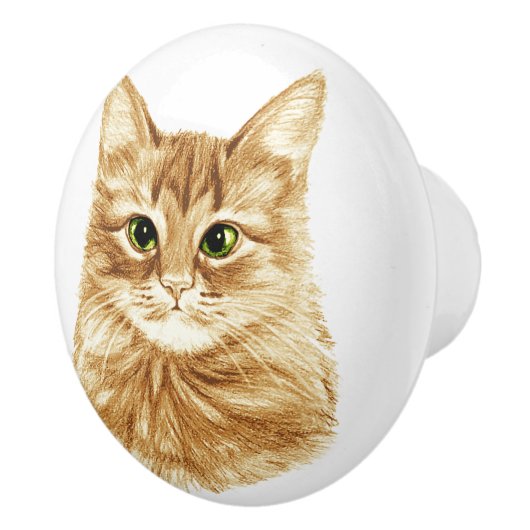 Grüne Augen-Ingwer-Katzen-Fach zieht Griffe (Rechts)