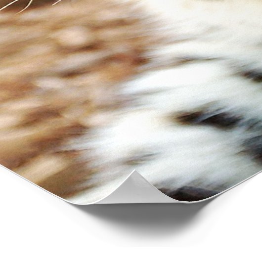 Grüne Augen! Poster (Ecke)