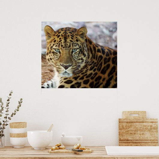 Grüne Augen! Poster (Küche)