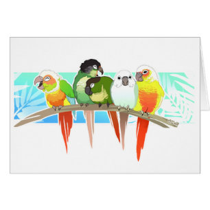Grüne Backe Conures