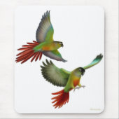 Grüne Backe Conures Mousepad (Vorne)