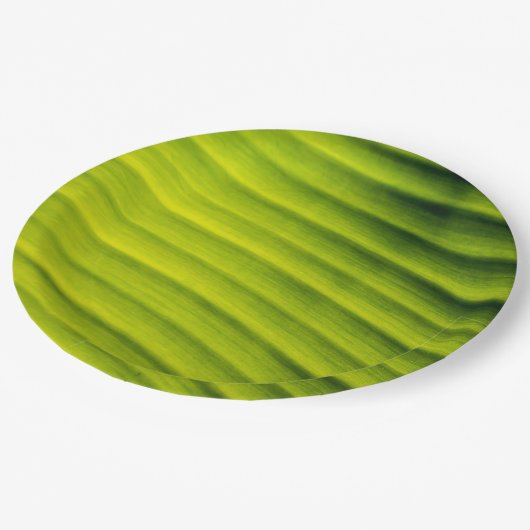 Grüne Bananenblattstruktur Pappteller (Schrägansicht)