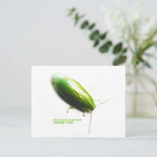 Grüne Bananenkakroche - Panchlora Stufen a Postkarte (Stehend Vorderseite)