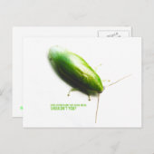 Grüne Bananenkakroche - Panchlora Stufen a Postkarte (Vorne/Hinten)