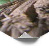 grüne Basilisk Poster (Ecke)