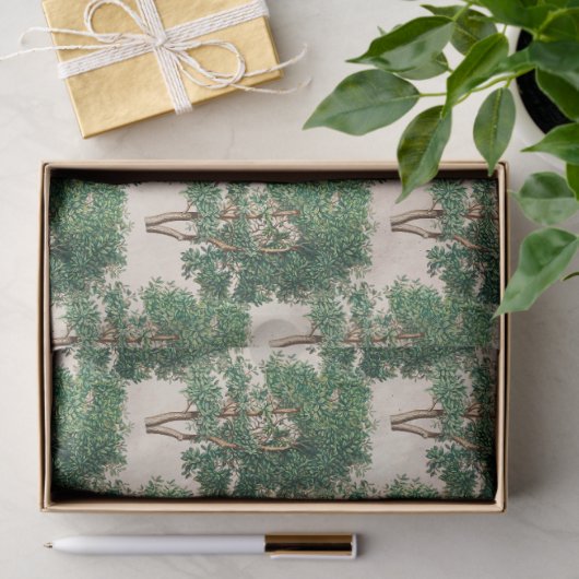 Grüne Bäume Dekoupage Seidenpapier (Geschenk)
