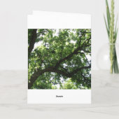 Grüne Bäume erhalten gute Karte (Rückseite)