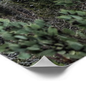 GRÜNE BÄUME IN DER NÄHE DES BERGES UNTER DEM SCHÖN POSTER (Ecke)