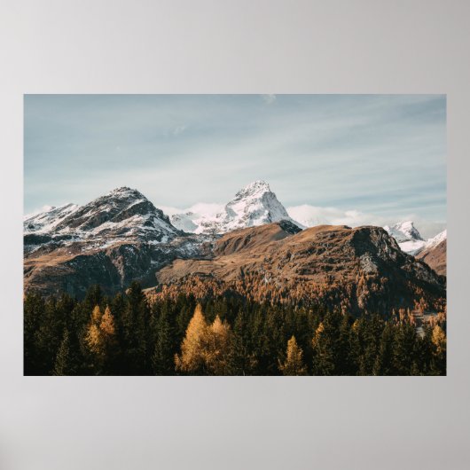 GRÜNE BÄUME IN DER NÄHE DES SCHNEES ÜBERDECKTEN BE POSTER (Vorne)