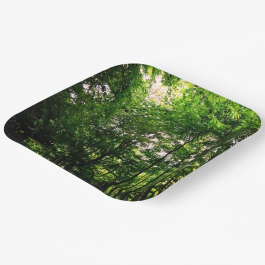 Grüne Bäume Pappteller (Gewinkelt)