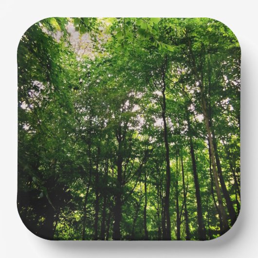 Grüne Bäume Pappteller (Vorderseite)