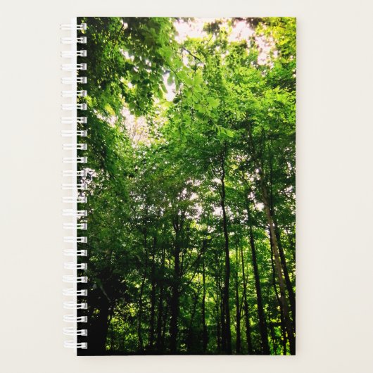 Grüne Bäume Planer (Vorderseite)