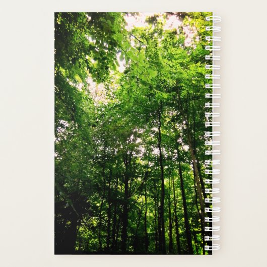 Grüne Bäume Planer (Rückseite)