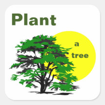 Grüne Bäume und gelbe Sonne, Pflanze eines Baumes