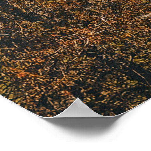 GRÜNE BÄUME UND GRASS-FELD POSTER (Ecke)