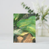 Grüne Baumpython und Weißer Baumfrosch Postkarte (Stehend Vorderseite)