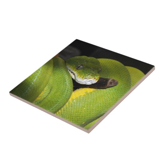 Grüne Baumpythonschlange Fliese (Seite)