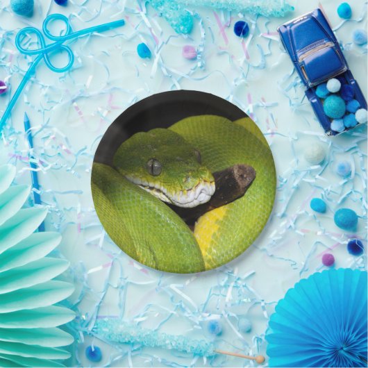 Grüne Baumpythonschlange Pappteller (Party)