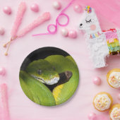 Grüne Baumpythonschlange Pappteller (Party)