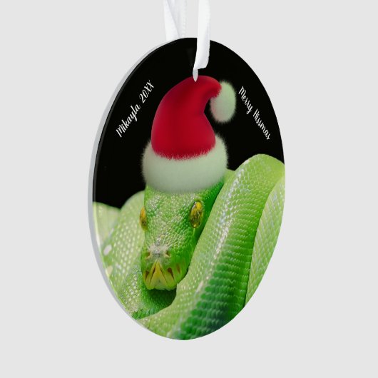 Grüne Baumschlange in Weihnachtsmannmütze Merry Hi Ornament (Vorderseite)