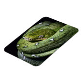 Grüne Baumschlange Smaragdboa in Bolivien Magnet (Linke Seite)