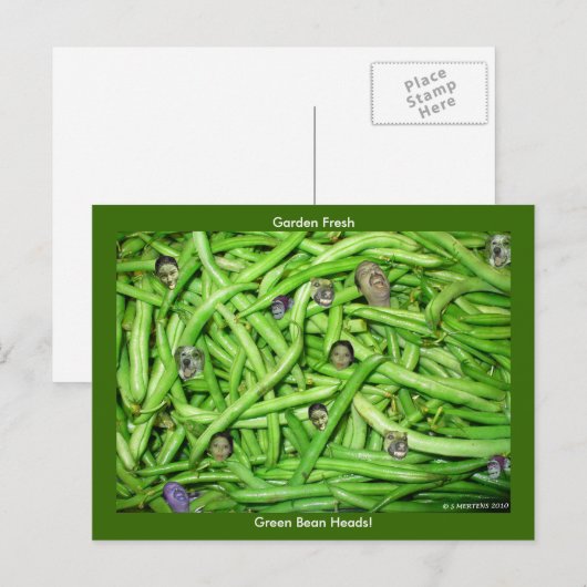 Grüne Beanenköpfe! Postkarte (Vorne/Hinten)