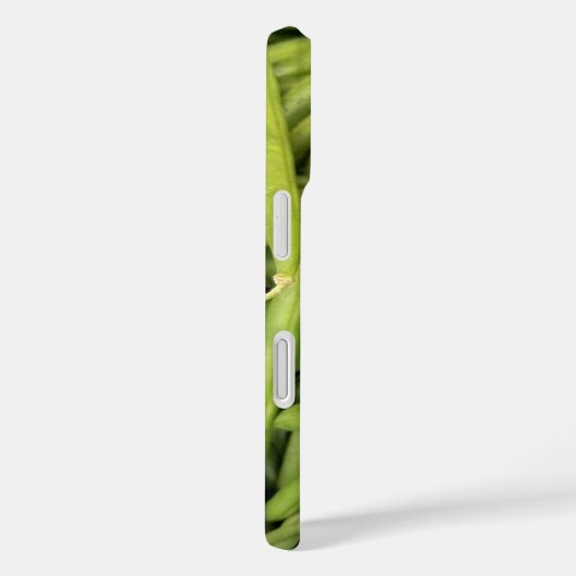 Grüne Beerensammlung Case-Mate iPhone Hülle (Rückseite / Rechts)