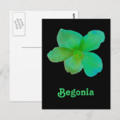 Grüne Begonia individuell anpassbare Postkarte (Vorne/Hinten)