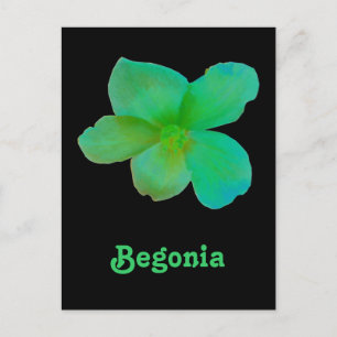 Grüne Begonia individuell anpassbare Postkarte
