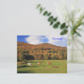 Grüne Berge und Pferde im Herbst Postkarte (Stehend Vorderseite)