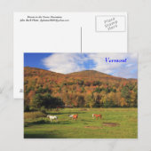 Grüne Berge und Pferde im Herbst Postkarte (Vorne/Hinten)