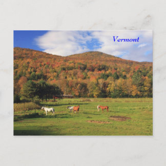 Grüne Berge und Pferde im Herbst Postkarte