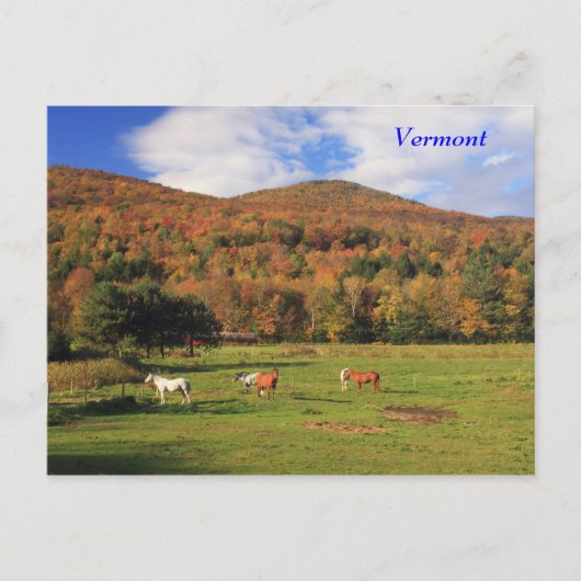 Grüne Berge und Pferde im Herbst Postkarte (Vorderseite)