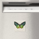 Grüne Birke Magnet (In Situ (Geschirrspüler))