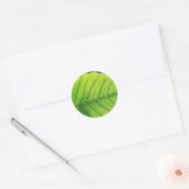 Grüne Blatt Blätter Runder Aufkleber (Umschlag)