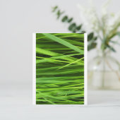 Grüne Blatt Kunst Postkarte (Stehend Vorderseite)