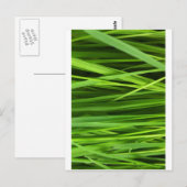 Grüne Blatt Kunst Postkarte (Vorne/Hinten)