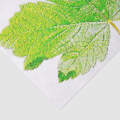 Grüne Blatt-Natur Seidenpapier (Ausschnitt)