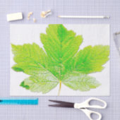 Grüne Blatt-Natur Seidenpapier (Handwerk)