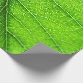 Grüne Blattbeschaffenheit Geschenkpapier (Ecke)
